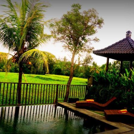 Villa D'Bisma Ubud Exteriör bild