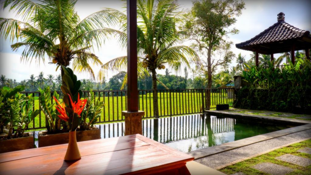Villa D'Bisma Ubud Exteriör bild