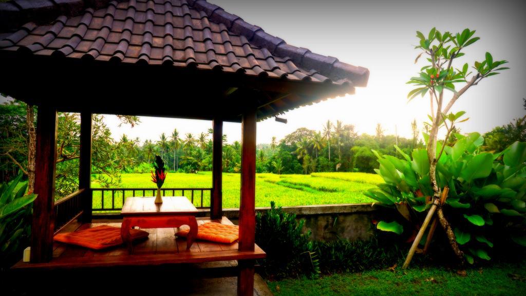Villa D'Bisma Ubud Exteriör bild